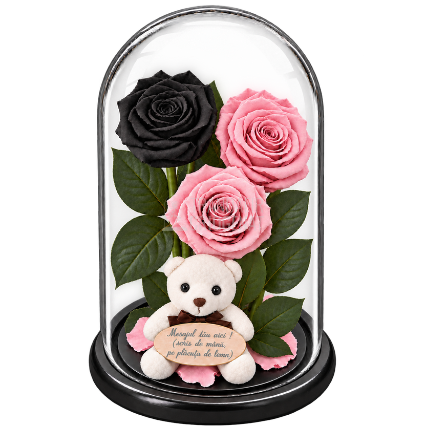 3 trandafiri criogenați XL (1 negru și 2 roz pal) în cupolă de sticlă 15 × 25 cm - Trandafir-Criogenat.ro