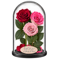 3 trandafiri criogenați XL (1 roșu închis, 1 bicolor roz-alb și 1 roz pal) în cupolă de sticlă 15 × 25 cm - Trandafir-Criogenat.ro