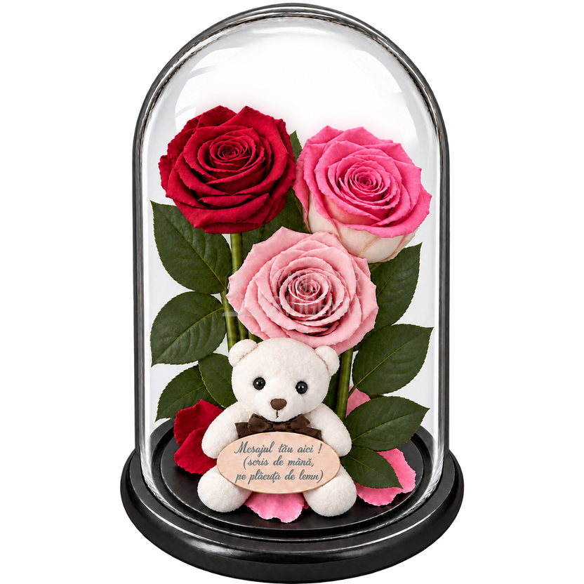 3 trandafiri criogenați XL (1 roșu închis, 1 bicolor roz-alb și 1 roz pal) în cupolă de sticlă 15 × 25 cm - Trandafir-Criogenat.ro