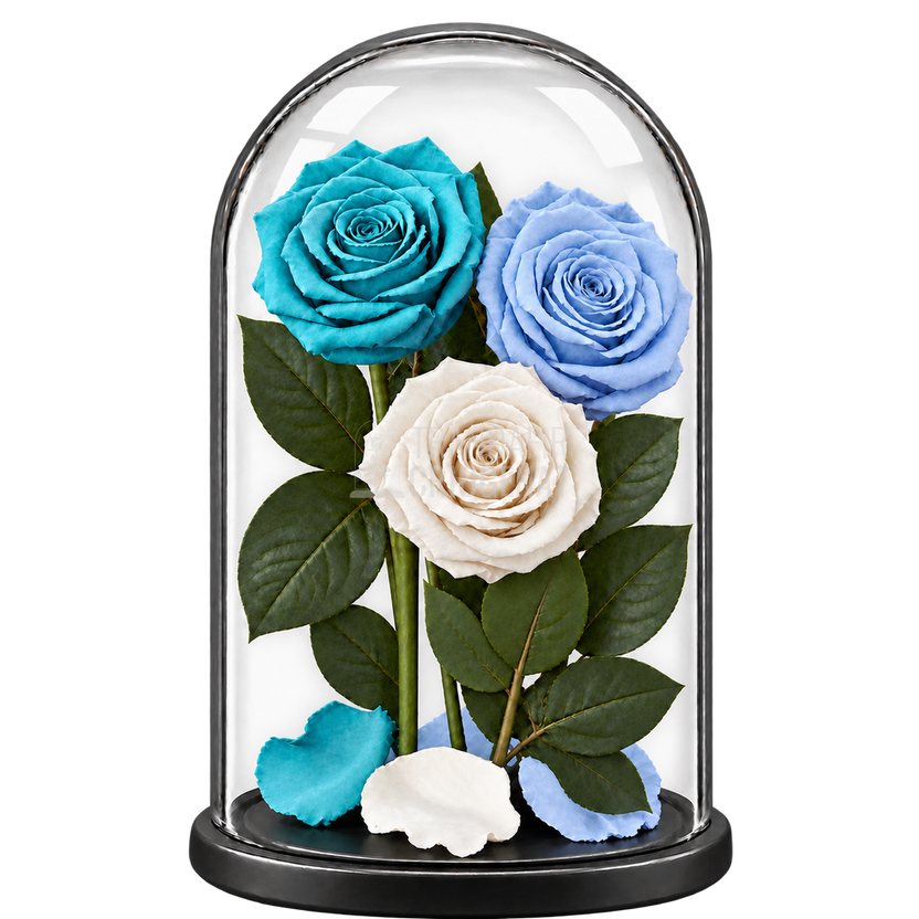 3 trandafiri criogenați XL (1 turcoaz, 1 bleu deschis și 1 alb) în cupolă de sticlă 15 × 25 cm - Trandafir-Criogenat.ro