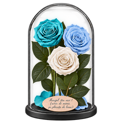3 trandafiri criogenați XL (1 turcoaz, 1 bleu deschis și 1 alb) în cupolă de sticlă 15 × 25 cm - Trandafir-Criogenat.ro