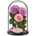 3 trandafiri criogenați XL (2 lila și 1 roz pal) în cupolă de sticlă 15 × 25 cm - Trandafir-Criogenat.ro