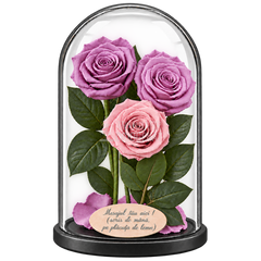 3 trandafiri criogenați XL (2 lila și 1 roz pal) în cupolă de sticlă 15 × 25 cm - Trandafir-Criogenat.ro