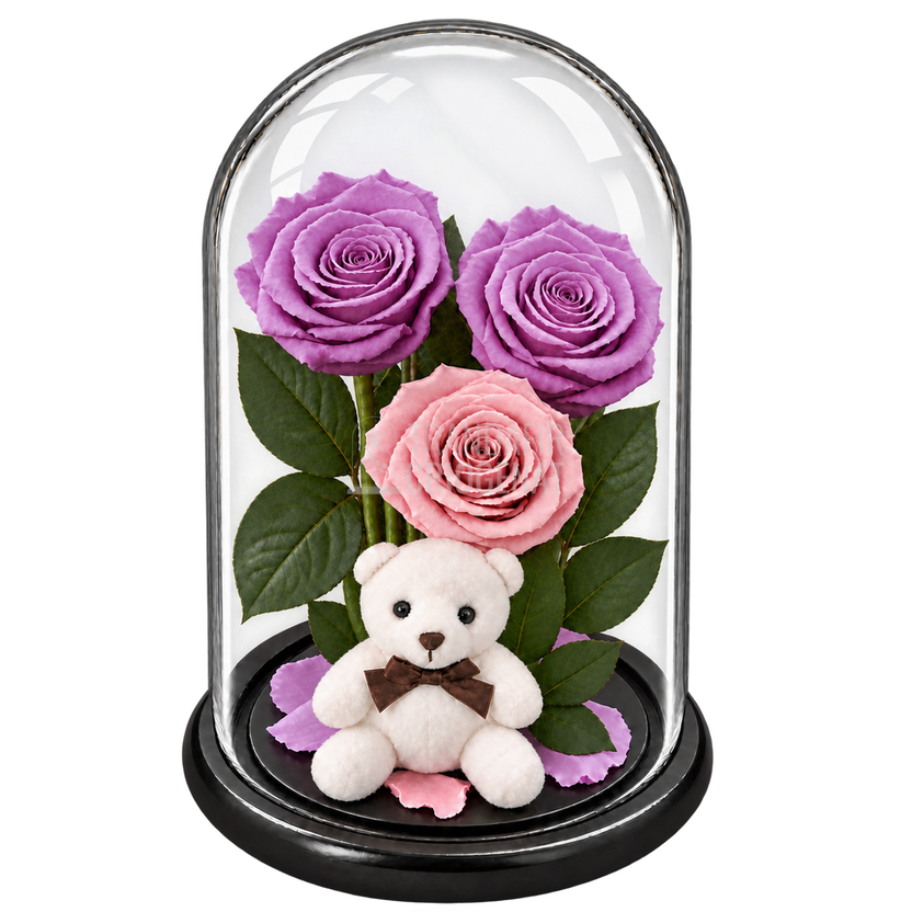 3 trandafiri criogenați XL (2 lila și 1 roz pal) în cupolă de sticlă 15 × 25 cm - Trandafir-Criogenat.ro