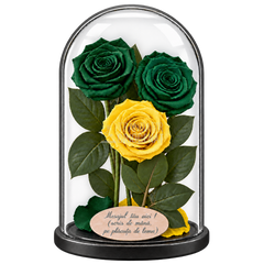 3 trandafiri criogenați XL (2 verde închis și 1 galben aprins) în cupolă de sticlă 15 × 25 cm - Trandafir-Criogenat.ro