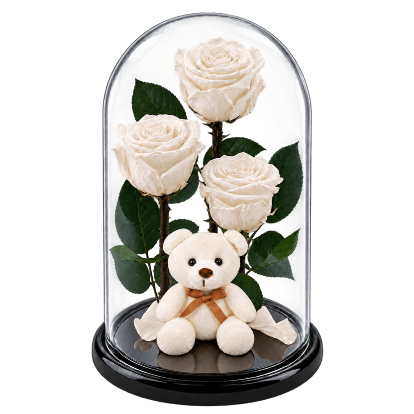 3 trandafiri criogenați XL albi în cupolă de sticlă 15 × 25 cm - Trandafir-Criogenat.ro