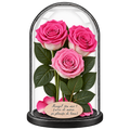 3 trandafiri criogenați XL bicolori roz-alb în cupolă de sticlă 15 × 25 cm - Trandafir-Criogenat.ro