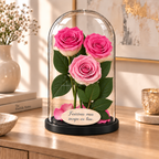 3 trandafiri criogenați XL bicolori roz-alb în cupolă de sticlă 15 × 25 cm - Trandafir-Criogenat.ro