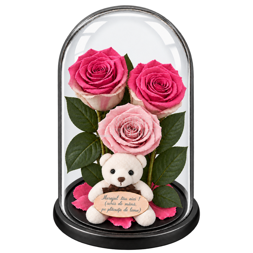 3 trandafiri criogenați XL bicolori roz-alb și roz pal în cupolă de sticlă 15 × 25 cm - Trandafir-Criogenat.ro