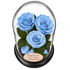 3 trandafiri criogenați XL bleu deschis în cupolă de sticlă 15 × 25 cm - Trandafir-Criogenat.ro