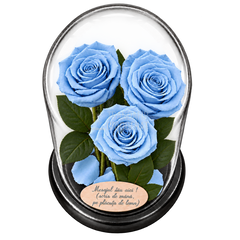 3 trandafiri criogenați XL bleu deschis în cupolă de sticlă 15 × 25 cm - Trandafir-Criogenat.ro