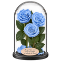 3 trandafiri criogenați XL bleu deschis în cupolă de sticlă 15 × 25 cm - Trandafir-Criogenat.ro
