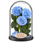 3 trandafiri criogenați XL bleu deschis în cupolă de sticlă 15 × 25 cm - Trandafir-Criogenat.ro