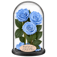 3 trandafiri criogenați XL bleu deschis în cupolă de sticlă 15 × 25 cm - Trandafir-Criogenat.ro