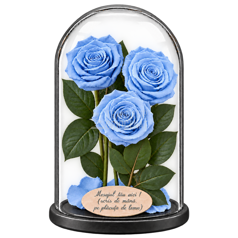 3 trandafiri criogenați XL bleu deschis în cupolă de sticlă 15 × 25 cm - Trandafir-Criogenat.ro