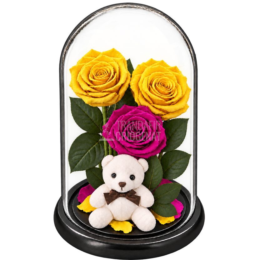 3 trandafiri criogenați XL galbeni aprins și mov în cupolă de sticlă 15 × 25 cm - Trandafir-Criogenat.ro