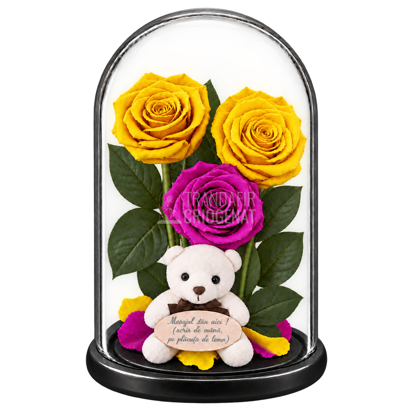 3 trandafiri criogenați XL galbeni aprins și mov în cupolă de sticlă 15 × 25 cm - Trandafir-Criogenat.ro