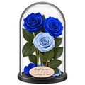 3 trandafiri criogenați XL în nuanțe de albastru și bleu deschis în cupolă de sticlă 15 × 25 cm - Trandafir-Criogenat.ro