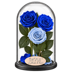 3 trandafiri criogenați XL în nuanțe de albastru și bleu deschis în cupolă de sticlă 15 × 25 cm - Trandafir-Criogenat.ro