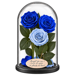 3 trandafiri criogenați XL în nuanțe de albastru și bleu deschis în cupolă de sticlă 15 × 25 cm - Trandafir-Criogenat.ro