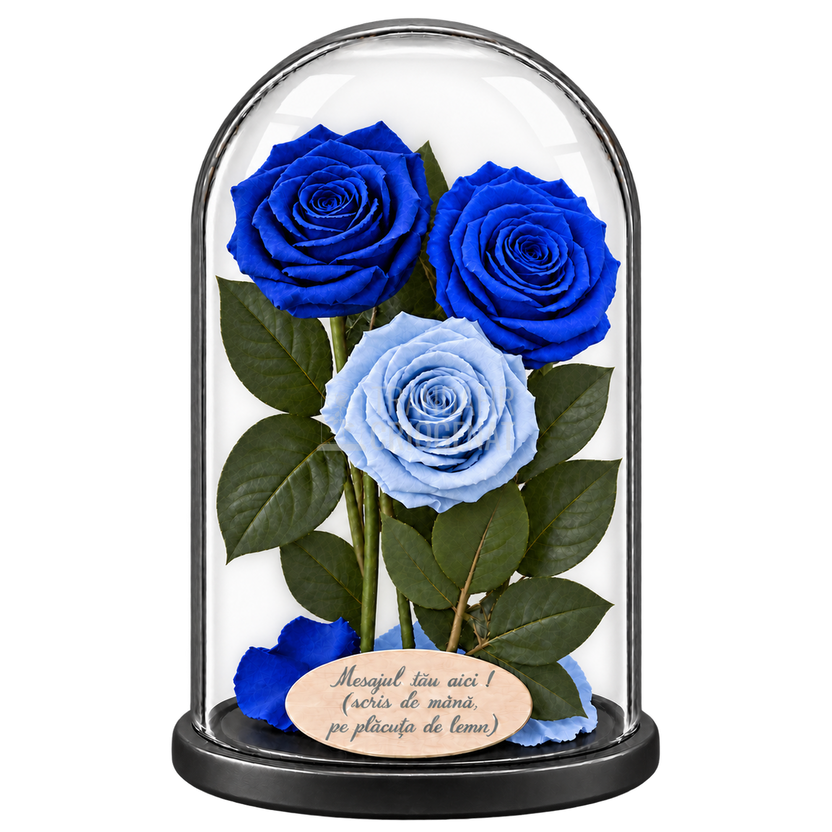 3 trandafiri criogenați XL în nuanțe de albastru și bleu deschis în cupolă de sticlă 15 × 25 cm - Trandafir-Criogenat.ro