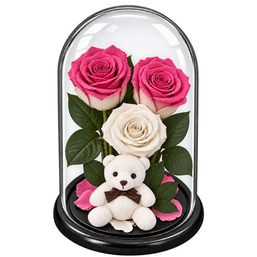 3 trandafiri criogenați XL în nuanțe de bicolor roz-alb și alb în cupolă de sticlă 15 × 25 cm - Trandafir-Criogenat.ro