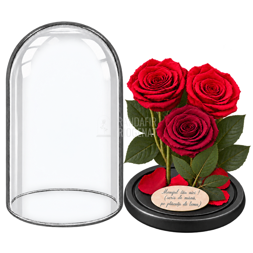 3 trandafiri criogenați XL în nuanțe de roșu și roșu închis în cupolă de sticlă 15 × 25 cm - Trandafir-Criogenat.ro