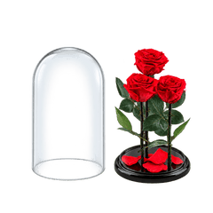 3 trandafiri criogenați XL roșu corai în cupolă de sticlă 15 × 25 cm - Trandafir-Criogenat.ro