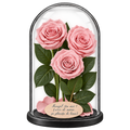3 trandafiri criogenați XL roz pal în cupolă de sticlă 15 × 25 cm - Trandafir-Criogenat.ro