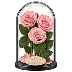 3 trandafiri criogenați XL roz pal în cupolă de sticlă 15 × 25 cm - Trandafir-Criogenat.ro