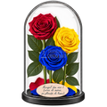 3 trandafiri criogenați XL tricolor România — roșu, galben și albastru în cupolă de sticlă 15 × 25 cm - Trandafir-Criogenat.ro