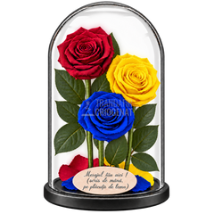 3 trandafiri criogenați XL tricolor România — roșu, galben și albastru în cupolă de sticlă 15 × 25 cm - Trandafir-Criogenat.ro