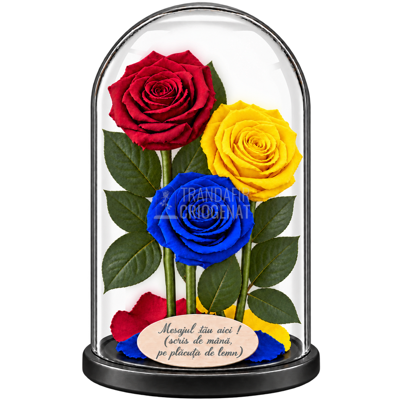 3 trandafiri criogenați XL tricolor România — roșu, galben și albastru în cupolă de sticlă 15 × 25 cm - Trandafir-Criogenat.ro