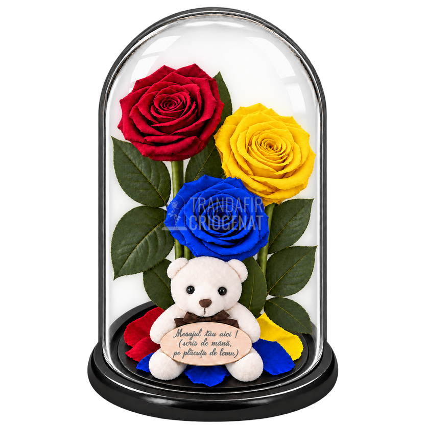 3 trandafiri criogenați XL tricolor România — roșu, galben și albastru în cupolă de sticlă 15 × 25 cm - Trandafir-Criogenat.ro