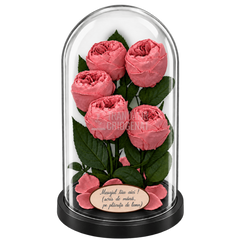 5 bujori criogenați Niki XXL corai în cupolă de sticlă 17 × 28 cm - Trandafir-Criogenat.ro