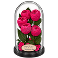 5 bujori criogenați Niki XXL roz fucsia în cupolă de sticlă 17 × 28 cm - Trandafir-Criogenat.ro