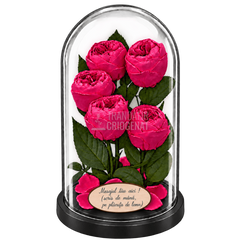 5 bujori criogenați Niki XXL roz fucsia în cupolă de sticlă 17 × 28 cm - Trandafir-Criogenat.ro