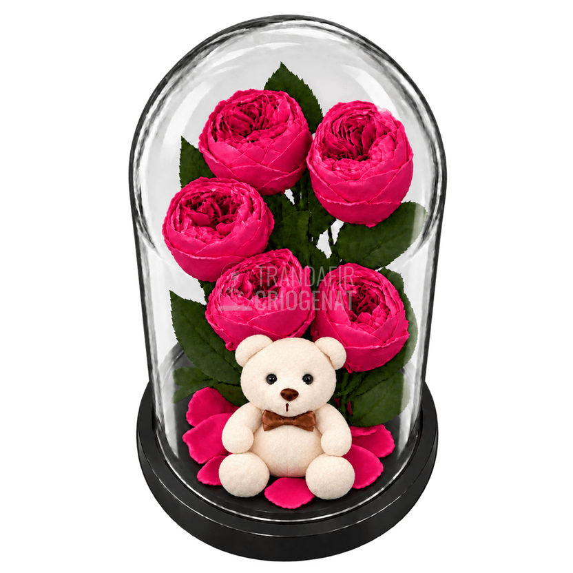 5 bujori criogenați Niki XXL roz fucsia în cupolă de sticlă 17 × 28 cm - Trandafir-Criogenat.ro