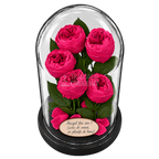 5 bujori criogenați Niki XXL roz fucsia în cupolă de sticlă 17 × 28 cm - Trandafir-Criogenat.ro