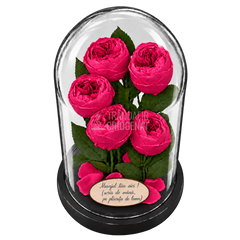 5 bujori criogenați Niki XXL roz fucsia în cupolă de sticlă 17 × 28 cm - Trandafir-Criogenat.ro