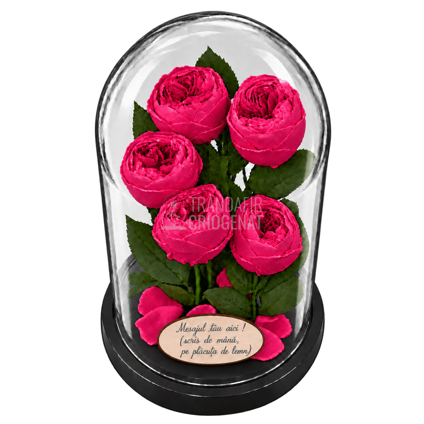 5 bujori criogenați Niki XXL roz fucsia în cupolă de sticlă 17 × 28 cm - Trandafir-Criogenat.ro