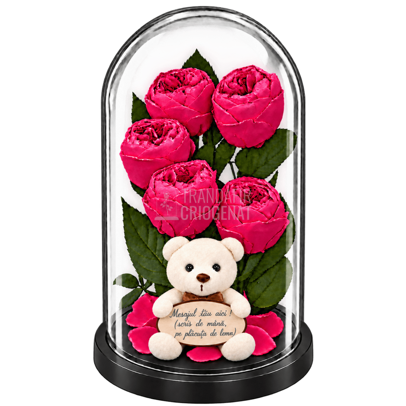 5 bujori criogenați Niki XXL roz fucsia în cupolă de sticlă 17 × 28 cm - Trandafir-Criogenat.ro