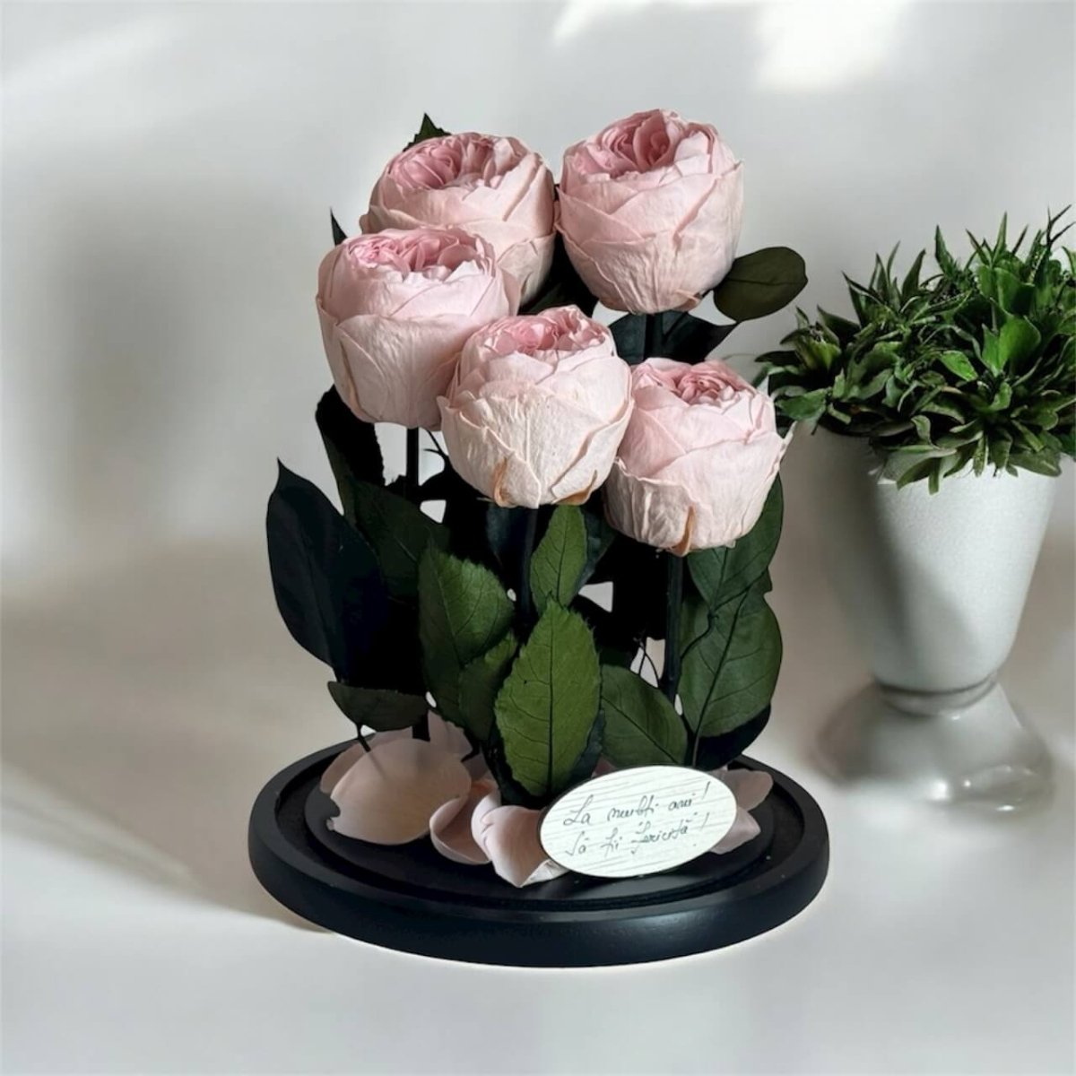 5 Bujori Criogenati roz Ø6 - 7cm in cupola mare de sticla 17x28cm (cu mesaj) - Trandafir - Criogenat.ro