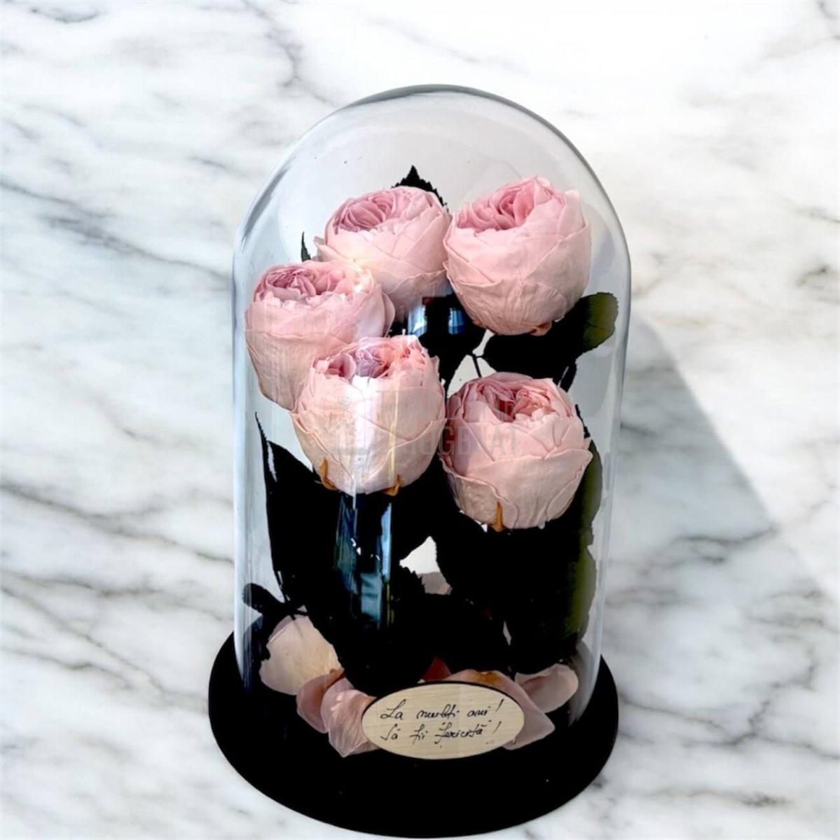 5 Bujori Criogenati roz Ø6 - 7cm in cupola mare de sticla 17x28cm (cu mesaj) - Trandafir - Criogenat.ro