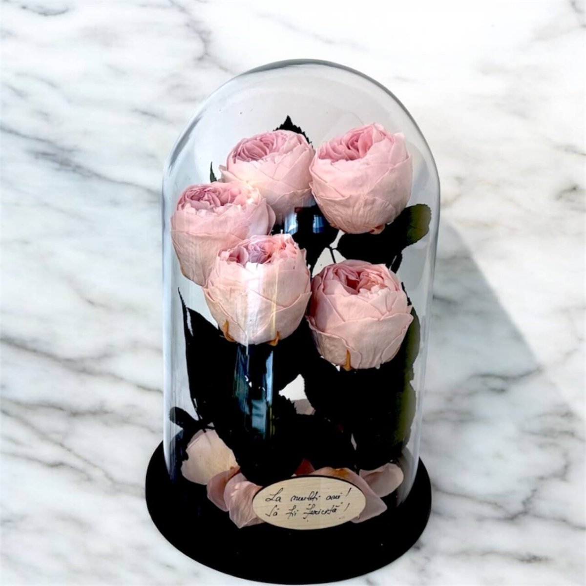 5 Bujori Criogenati roz Ø6 - 7cm in cupola mare de sticla 17x28cm (cu mesaj) - Trandafir - Criogenat.ro