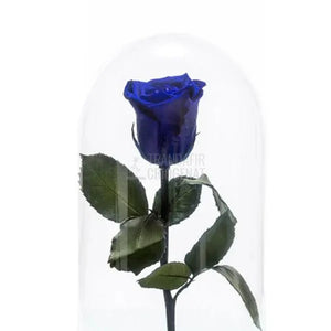 Trandafir Criogenat Albastru În Cupolă Sticlă Cadou Perfect Femei Cu Mesaj Scris Rezistă 25 Ani