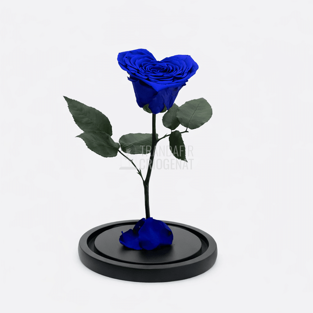 Trandafir Criogenat Albastru Inimă În Cupolă De Sticlă Cu Mesaj Personalizat Cadou Pentru Femei