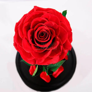 Trandafir Criogenat Bella Roșu În Cupolă De Sticlă Cadou Personalizat Cu Mesaj Scris