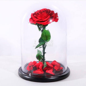 Trandafir Criogenat Bella Roșu În Cupolă De Sticlă Cadou Personalizat Cu Mesaj Scris