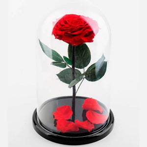 Trandafir Criogenat Bella Roșu În Cupolă De Sticlă Cadou Personalizat Cu Mesaj Scris